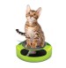 Feline Frenzy With Scratch Pad